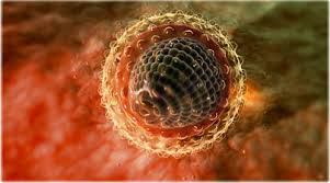 virus hepatitisa